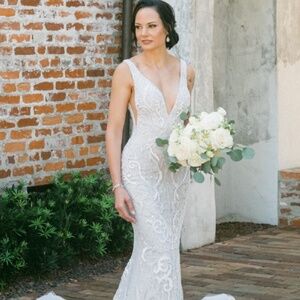 Wedding Dress and veil